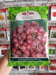 Benih Bawang Merah Hibrida SANREN F1 Isi 500gram