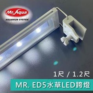 【水族之家】水族先生 ED5水草 LED跨燈 1~1.2尺 水草燈 燈具 LED跨燈 全白燈 水族燈具 水族觀賞燈