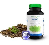 Herbal One Bacopa อ้วยอัน พรมมิ (ผลิตภัณฑ์เสริมอาหาร)  [1ขวด/60 แคปซูล] อ้วยอันโอสถ เฮอร์บัลวัน