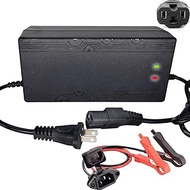 60V / 73V 5A LiFePO4 Battery Charger for 60V (64V 20Strings) Lithium Iron Phosphate Battery,Smart Li