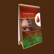 Anemia Flip Sheet Book | Anemia Disease, Educational Media for Pregnant Women