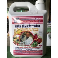 Ginseng Plant Fertilizer cal 5 liters