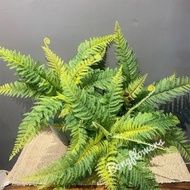 Fake Fern Leaf Cluster 7 High Leaves 45 cm Long for super pretty decor