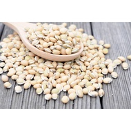 Lablab Beans/Mochai Dhall/ Kacang Sepat/Hyacinth Bean ~1kg