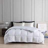 Duvet New Style Quilt Duvet Duvet Three-Dimensional Grid 2024 Goose Duvet Core 100 Pcs Tribute Satin