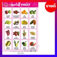 โปสเตอร์กระดาษ ผลไม้ Fruits EQ-504 ภาพโปสเตอร์ เรียนรู้คำศัพท์ ภาษาอังกฤษ / ภาษาไทย 2 ภาษา [พร้อมส่ง