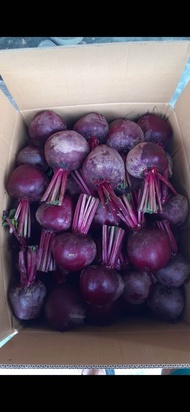 buah bit fresh 1 kg pengiriman dari ciwidey stok terbatas