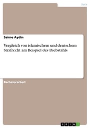 Vergleich von islamischem und deutschem Strafrecht am Beispiel des Diebstahls Saime Aydin