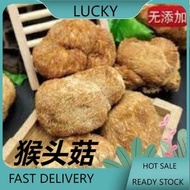 猴头菇 Lion's Mane Mushroom 50g+-