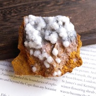 Selenite 湖北產地 透石膏花 天然礦石 原礦