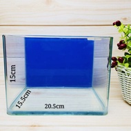 *Desktop Aquarium* M Size 5mm Thick Curve Glass Fish Tank Aquarium (15.5cm x 15cm x 20.5cm)