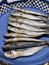 Dried Fish (Galunggong) Daing Pinoy Bayanihan Food