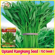 Fresh Organic Water Spinach Seeds Kangkong Seed 150pcs 泰国柳叶空心菜种子 Upland Kangkong Seeds Vegetable See