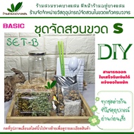 ☚ชุดสวนขวด พร้อมปลูก ไซต์ S เซ็ท B ราคา 189฿ มีสินค้าพร้อมส่ง✼