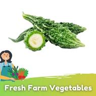 Peria Kecil   /   Bitter Gourd Small  (500g+/-)