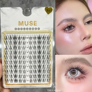 Muse X67 eyelashes - Separate eyelashes attached to each cluster