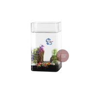 Aquarium Fish Container Betta Aquarium/ Guppy/ Decorative/ Square Betta Fish Container