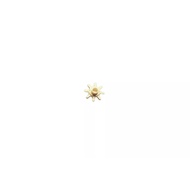 SEIKO 4R15, 4R16A, 7S26A, 7S36A day-date corrector wheel 1 PCS 737300 0737 300