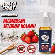 🔥 ​​Umpan Lipas & Semut​​ - Pembasmi Serangga Terbaik Seperti ​​Watson Malaysia​​ & ​​Vacuum Cleaner