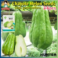 High Yield Fresh Chayote Seeds for Planting Vegetables (Fast Growing 25 Seed) biji benih Labu Siam S