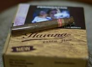 Cerutu Havana Extra Fine per pak