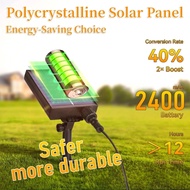 Solar Outdoor ST38/G40 String Lights, Waterproof Ambient Lighting