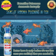 API Ammo Lock (Detoxifies Aquarium Ammonia Instantly) (fmed)