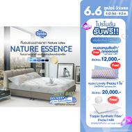 [ส่งด่วน Next Day🔥] ที่นอน Synda รุ่น Nature Essence 3.5ฟุต 5ฟุต 6 ฟุต (ระบบ Nature Latex ยางพารา)