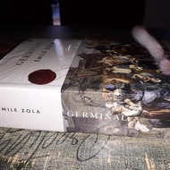 Germinal Sebuah Novel Emile Zola
