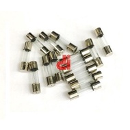 Large glass fuse 3cm 6X30mm glass fuse glass fuse