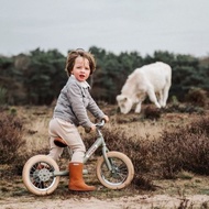 Trybike - 兩輪平衡車/滑步車 - 霧面綠