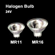 AC/DC 24V Halogen Bulb Lamp Cup Light MR11 MR16 GU5.3 High Brightness Spotlight