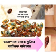 Bed Bugs Killer Powder Bed Bugs Insecticide Powder 10g 1Pack Serbuk Serangga Pembunuh Kutu Katil