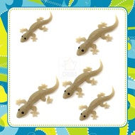 【 READY STOCK 】 Rubber Toy Lizard Insect For Fun Cicak Permainan Prank