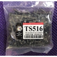 SCREW BODY COVER SKRU TS516 100PCS