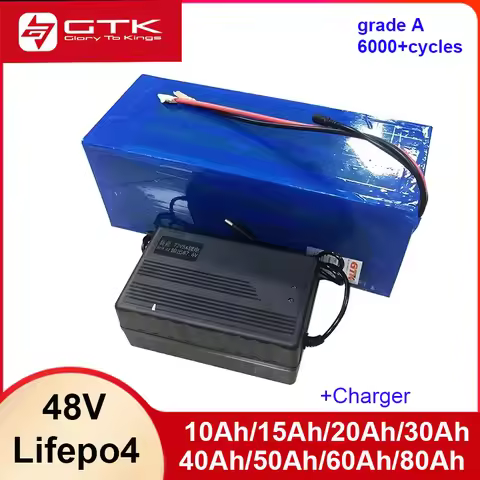 16S 48V 15Ah 20Ah 20A 25Ah 30Ah 30A 40Ah 40A 50Ah 50A 60Ah 80Ah LiFePO4 Lithium ion battery pack wit
