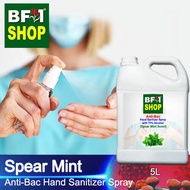 Anti Bacterial Hand Sanitizer Spray with 75% Alcohol - mint - Spear Mint Anti Bacterial Hand Sanitizer Spray - 5L