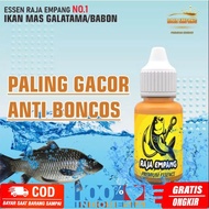 Essen ikan mas paling bagus Essen ikan mas paling ampuh Essen ikan mas babon Essen ikan mas paling m