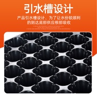 Seedling tray, seedling cell tray72Hole seedling box, seedling pot, vegetable seedling pot, plastic 
