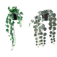 FEJKA Ivy , String of Hearts Artificial Potted Plant, Hanging Pokok Hiasan Gantung