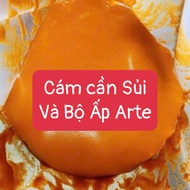 Artemia incubation set - Full Artemia egg incubation set - American Artemia incubation tools-Artemia