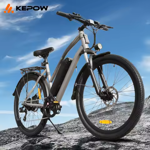 Custom Electric Bike Aluminium Frame 36V 500W E Bike Fatbike Adult Electric Mountain Bike Electric B