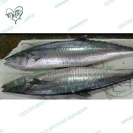 ikan tenggiri utuh/tengiri besar/segar