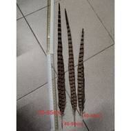 Bulu Panjang Feather Iban Accessories (1pc)