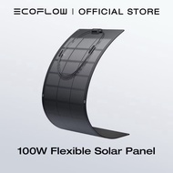 EcoFlow 100W Flexible Solar Panel