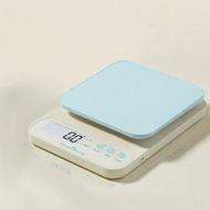 High Precision Kitchen Digital Scale Small  Grams