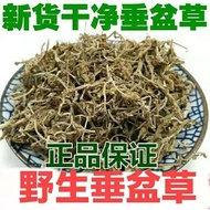 [1381.70,000 people Collection this brand] Lu Luyuan Hanging Pot Herbal Tea Chinese Herbal Medicinal