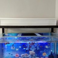 Top filter gutter top filter aquarium 80cm and COVER