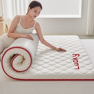 It’s  Tatami  Foldable floor mat Mattress Tilam Single/Queen/King Mattress Foldable 3-4cm thicknessM