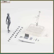 2025Aimigo Luxe SHF Figuarts Body Kun Chan DX Set Drawing Figures for Artists